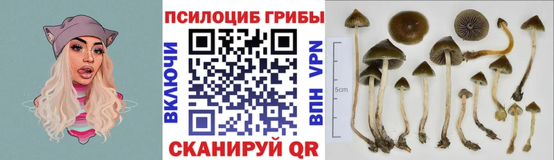 Псилоцибиновые грибы прущие грибы  Туймазы 
